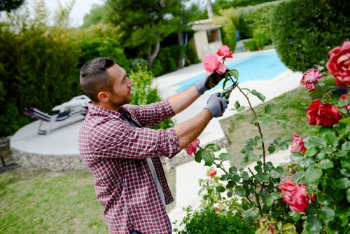 Gardening services in Hampton Wick for a tidy residential outdoor space