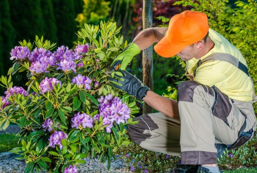 Professional lawn mowing in Hampton Wick on a residential garden