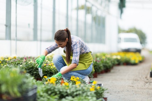 Local gardeners in Hampton Wick providing thoughtful garden care