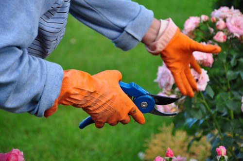 Gardeners Hampton Wick modern slavery policy introduction
