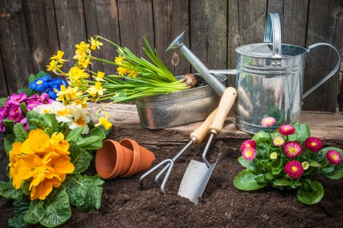 Feeding and restoring a lawn in Hampton Wick