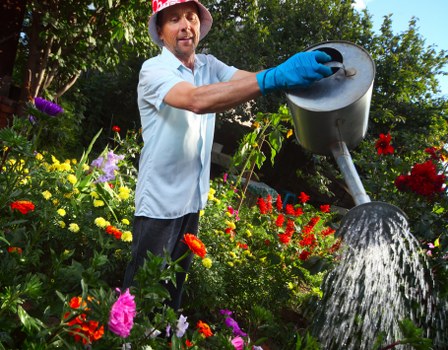 Professional garden maintenance work in Hampton Wick