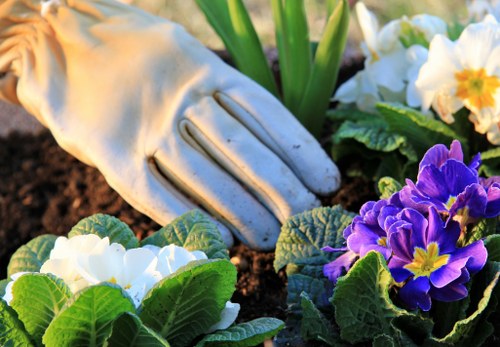 Soft landscaping with shrubs and seasonal planting in Hampton Wick