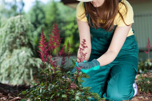 Hampton Wick gardening team maintaining healthy outdoor spaces