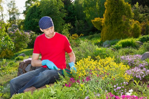 Seasonal garden upkeep in Hampton Wick with pruning and planting