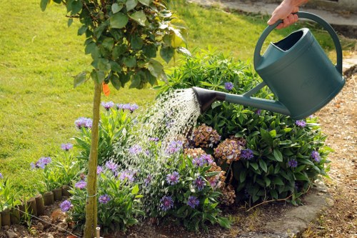 Local tree health inspection and arborist care in Hampton Wick