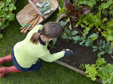 Professional garden maintenance and landscaping care in Hampton Wick
