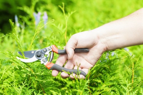 Professional gardening services in Hampton Wick for a well-kept home garden