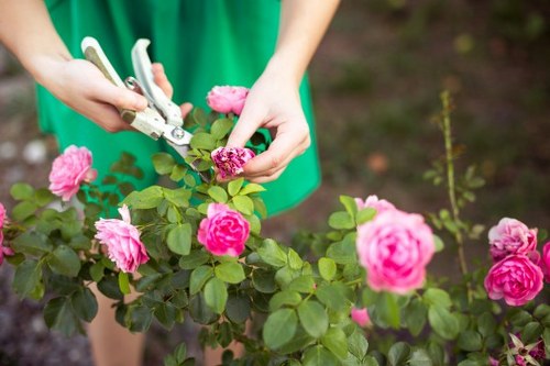 Evening garden lighting and elegant landscaping in Hampton Wick