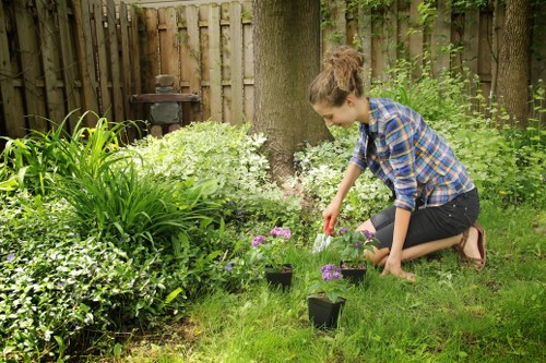 Neatly cut grass and edged borders in Hampton Wick