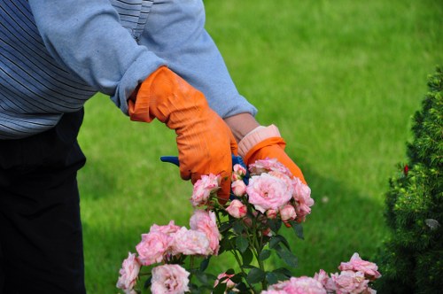 Tidy lawn and borders cared for by Hampton Wick gardeners
