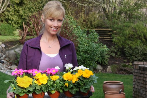 Screen-reader friendly gardening website content for Hampton Wick