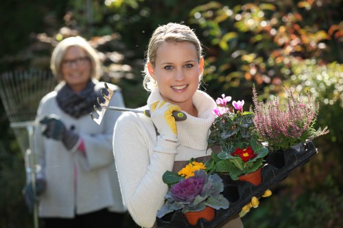 Timber and composite fencing options in Hampton Wick
