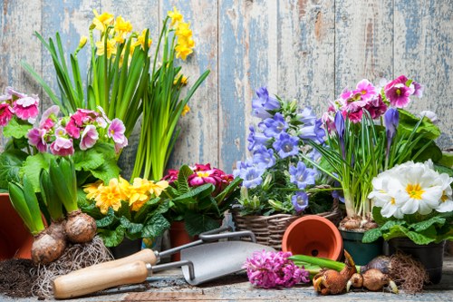 Professional tree reduction services in Hampton Wick garden setting